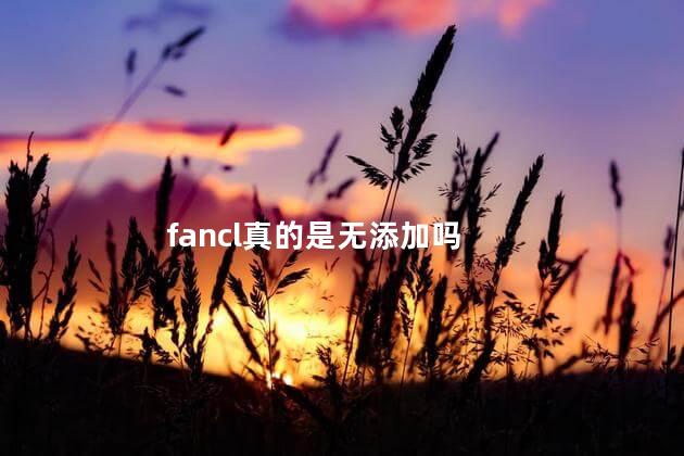 fancl真的是无添加吗