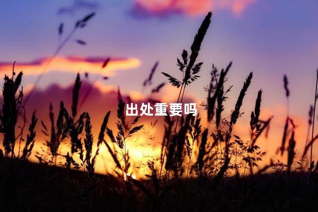 出处重要吗