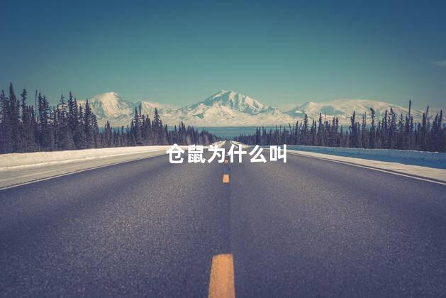 仓鼠为什么叫