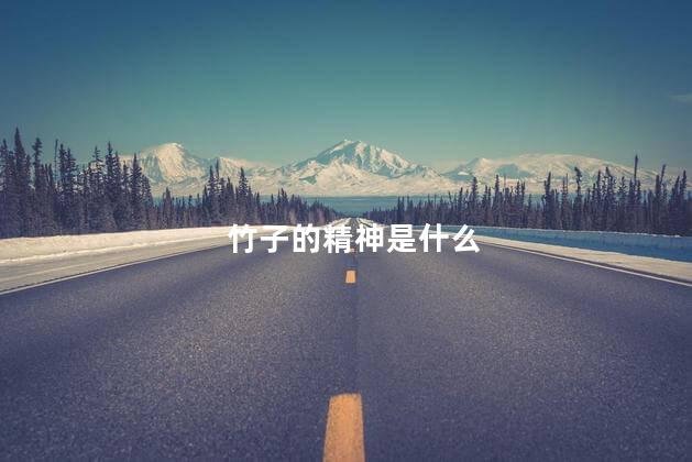 竹子的精神是什么