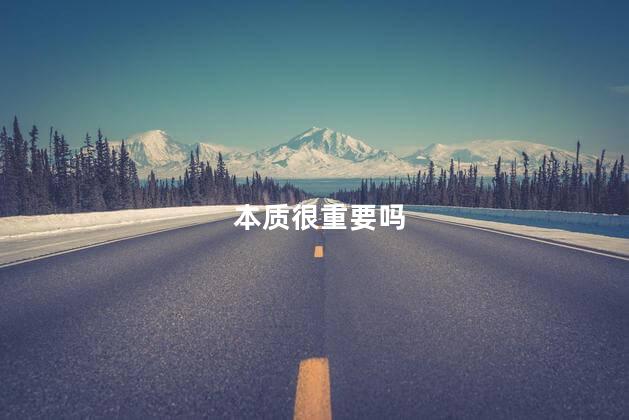 本质很重要吗