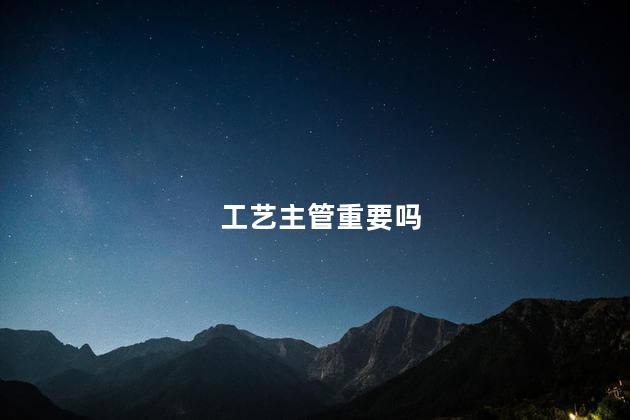 工艺主管重要吗
