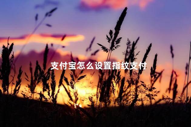 支付宝怎么设置指纹支付