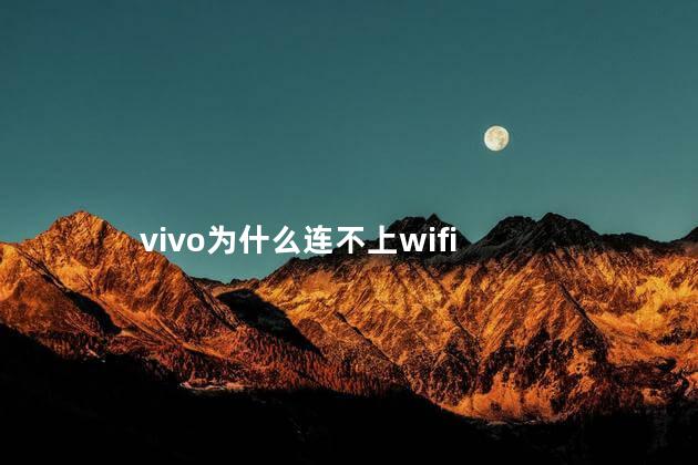 vivo为什么连不上wifi