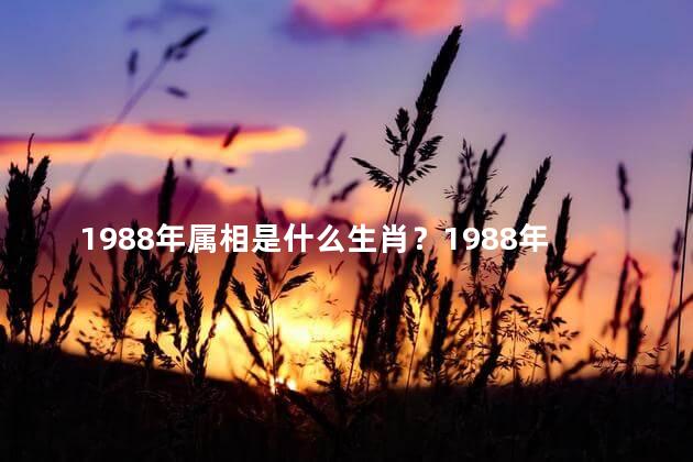 1988年属相是什么生肖？1988年生肖是什么？