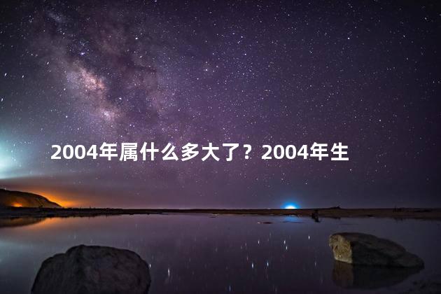 2004年属什么多大了？2004年生肖鼠的人如今多大了