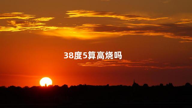 38度5算高烧吗