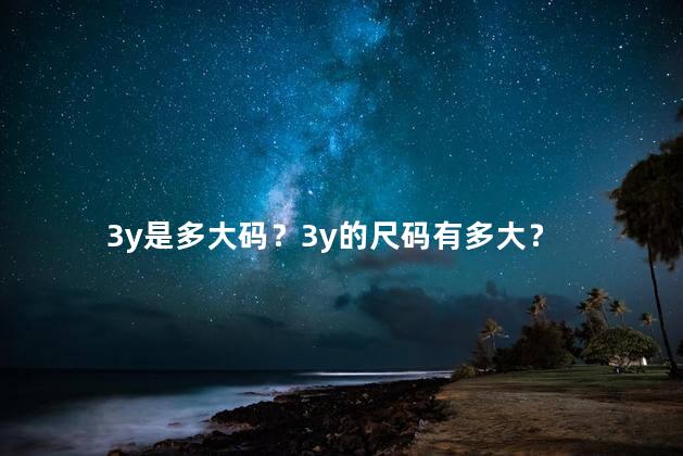 3y是多大码？3y的尺码有多大？