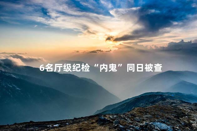 6名厅级纪检“内鬼”同日被查 纪检监察系统中担任重要职务