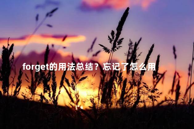 forget的用法总结？忘记了怎么用？快速掌握forget的正确用法！