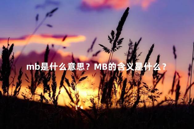 mb是什么意思？MB的含义是什么？