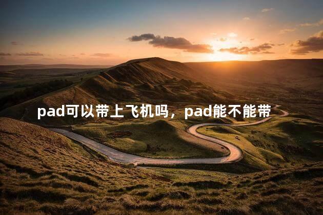pad可以带上飞机吗，pad能不能带上飞机