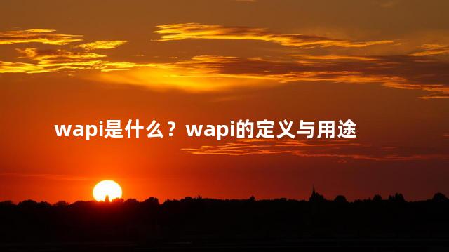 wapi是什么？wapi的定义与用途