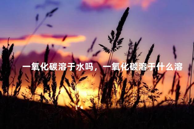 一氧化碳溶于水吗，一氧化碳溶于什么溶液