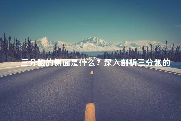 三分龅的侧面是什么？深入剖析三分龅的侧面