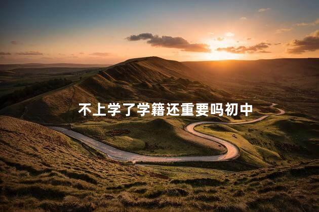 不上学了学籍还重要吗初中