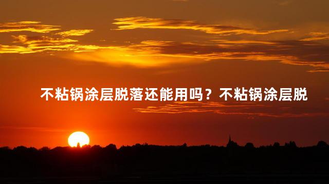 不粘锅涂层脱落还能用吗？不粘锅涂层脱落，怎么办？
