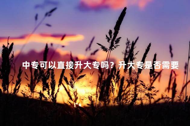 中专可以直接升大专吗？升大专是否需要先读专科？