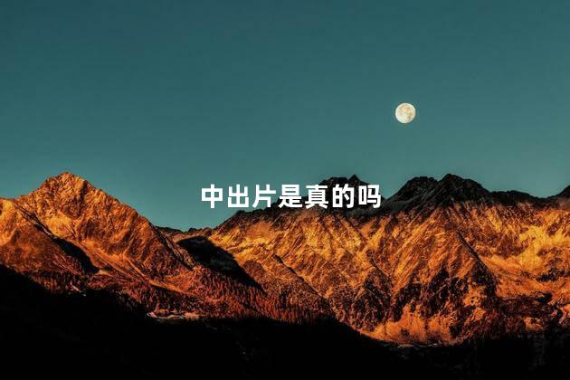 中出片是真的吗