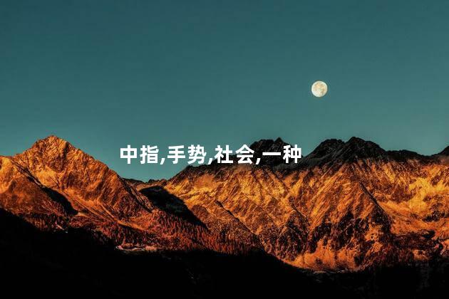 竖中指什么意思？竖中指是什么意思？揭秘中指的含义！