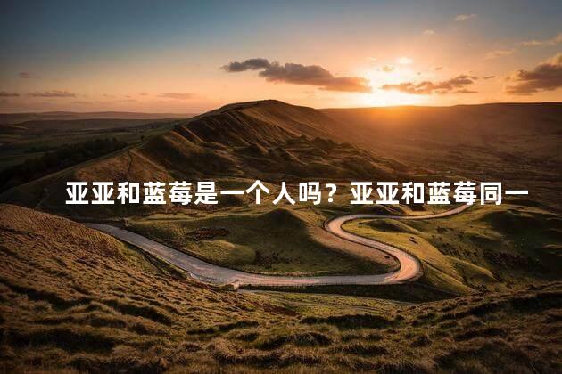 亚亚和蓝莓是一个人吗？亚亚和蓝莓同一人？