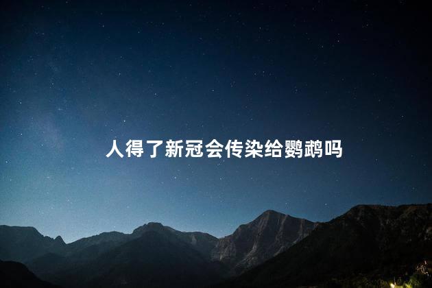 人得了新冠会传染给鹦鹉吗