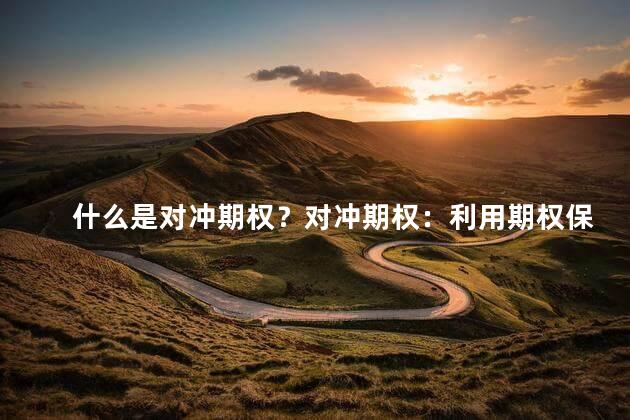 什么是对冲期权？对冲期权：利用期权保护投资风险