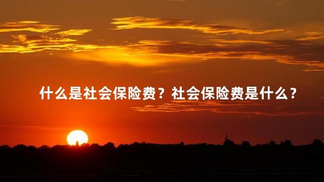 什么是社会保险费？社会保险费是什么？初学者指南