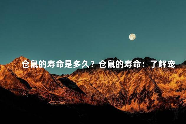 仓鼠的寿命是多久？仓鼠的寿命：了解宠物小动物的寿命