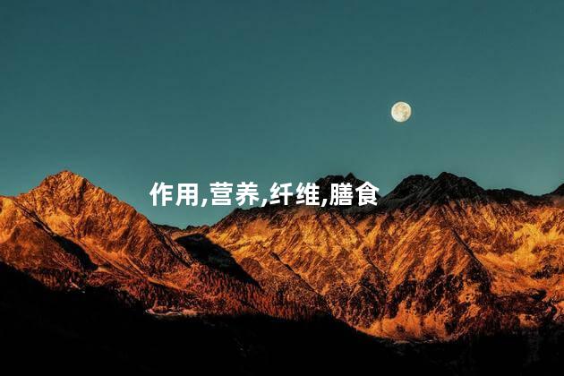 莲藕的功效与作用？莲藕的益处与特点