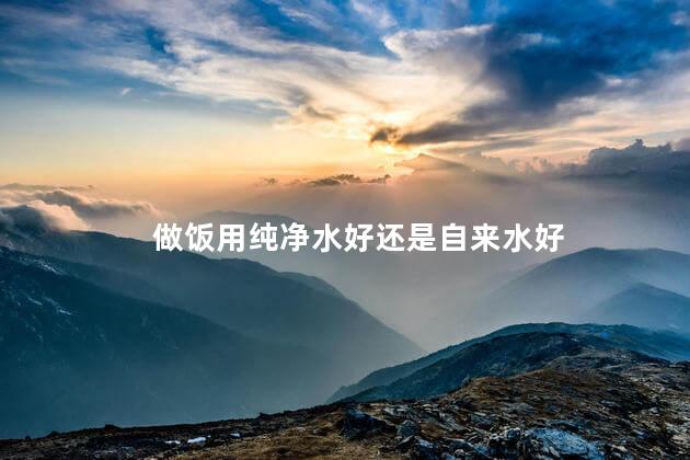 做饭用纯净水好还是自来水好