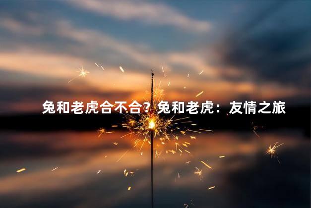兔和老虎合不合？兔和老虎：友情之旅