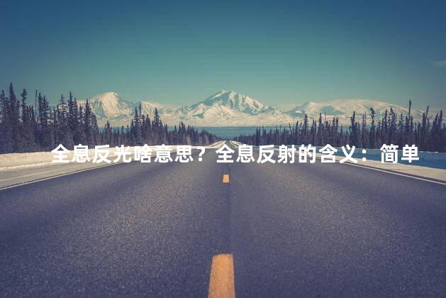 全息反光啥意思？全息反射的含义：简单解释及应用领域介绍