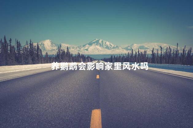 养鹦鹉会影响家里风水吗
