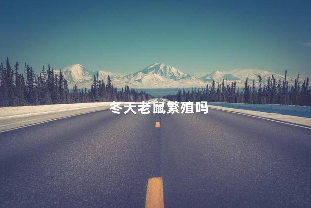 冬天老鼠繁殖吗，老鼠冬天会繁殖吗