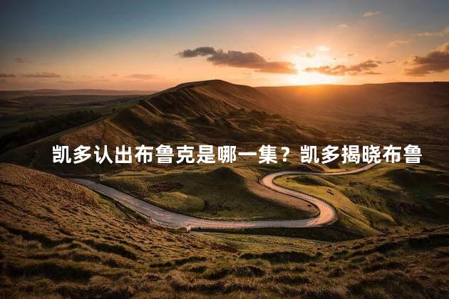凯多认出布鲁克是哪一集？凯多揭晓布鲁克身份，重要剧集等你看