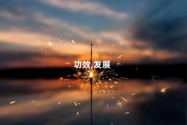生蚝的功效与作用？生蚝的功效与益处