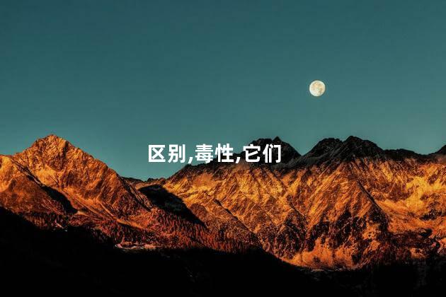 白环蛇和银环蛇的区别是什么？白环蛇与银环蛇区别大解析