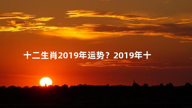 十二生肖2019年运势？2019年十二生肖运势大揭秘！