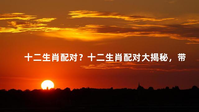 十二生肖配对？十二生肖配对大揭秘，带你一探究竟！