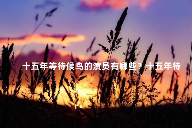 十五年等待候鸟的演员有哪些？十五年待候鸟：演员阵容揭晓!