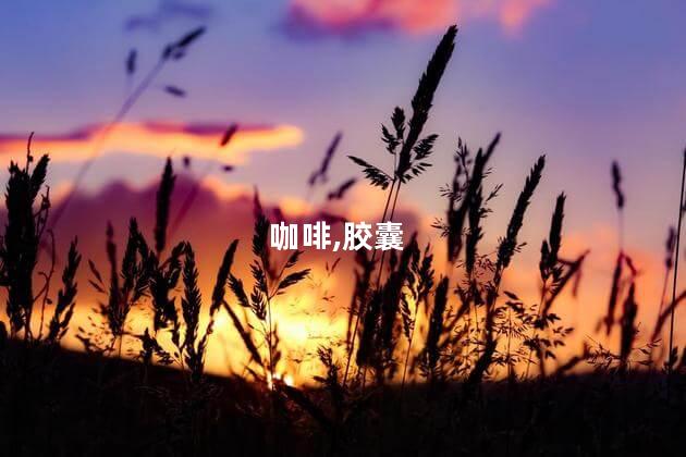胶囊咖啡怎么冲？如何冲泡胶囊咖啡简单快速的咖啡享受