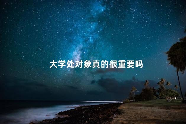 大学处对象真的很重要吗