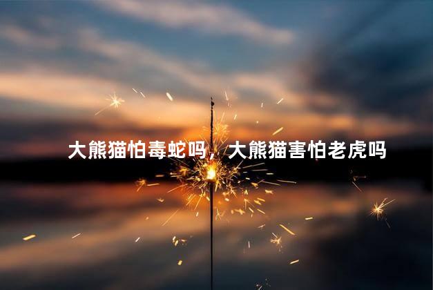 大熊猫怕毒蛇吗，大熊猫害怕老虎吗