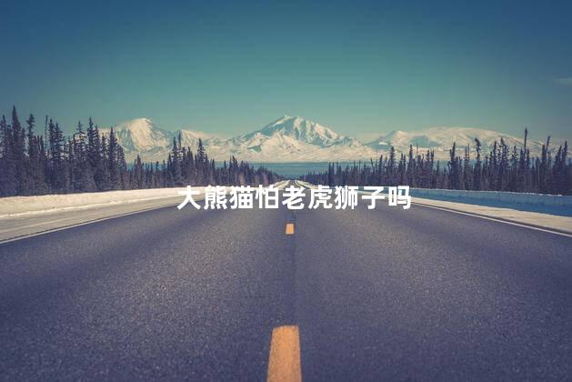 大熊猫怕老虎狮子吗，老虎害怕大熊猫吗