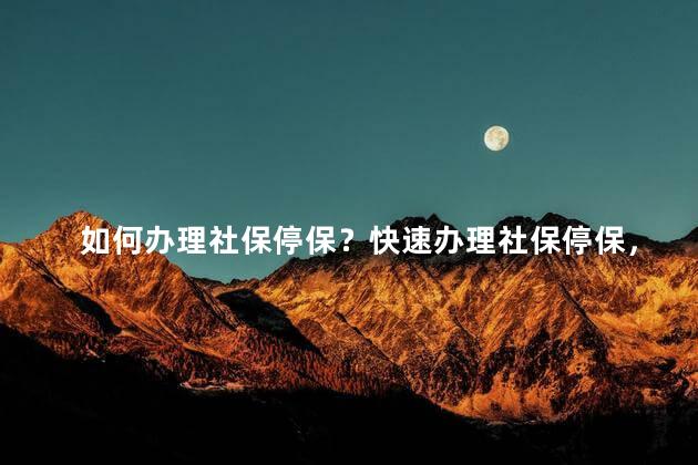 如何办理社保停保？快速办理社保停保，省时省力！