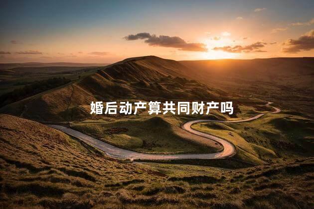 婚后动产算共同财产吗