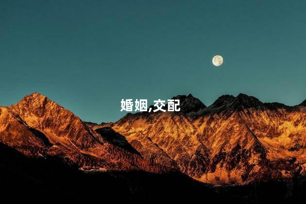 男兔和女马是几等婚姻？兔马伉俪是何种婚姻关系？