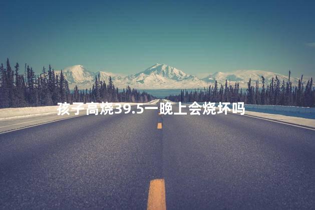 孩子高烧39.5一晚上会烧坏吗，小孩发烧到39.5多长时间才危险