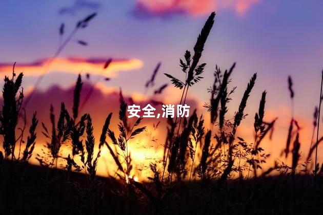 消防安全日是几月几日？消防安全日日期是多少？